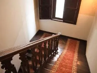 Fiorita Siena